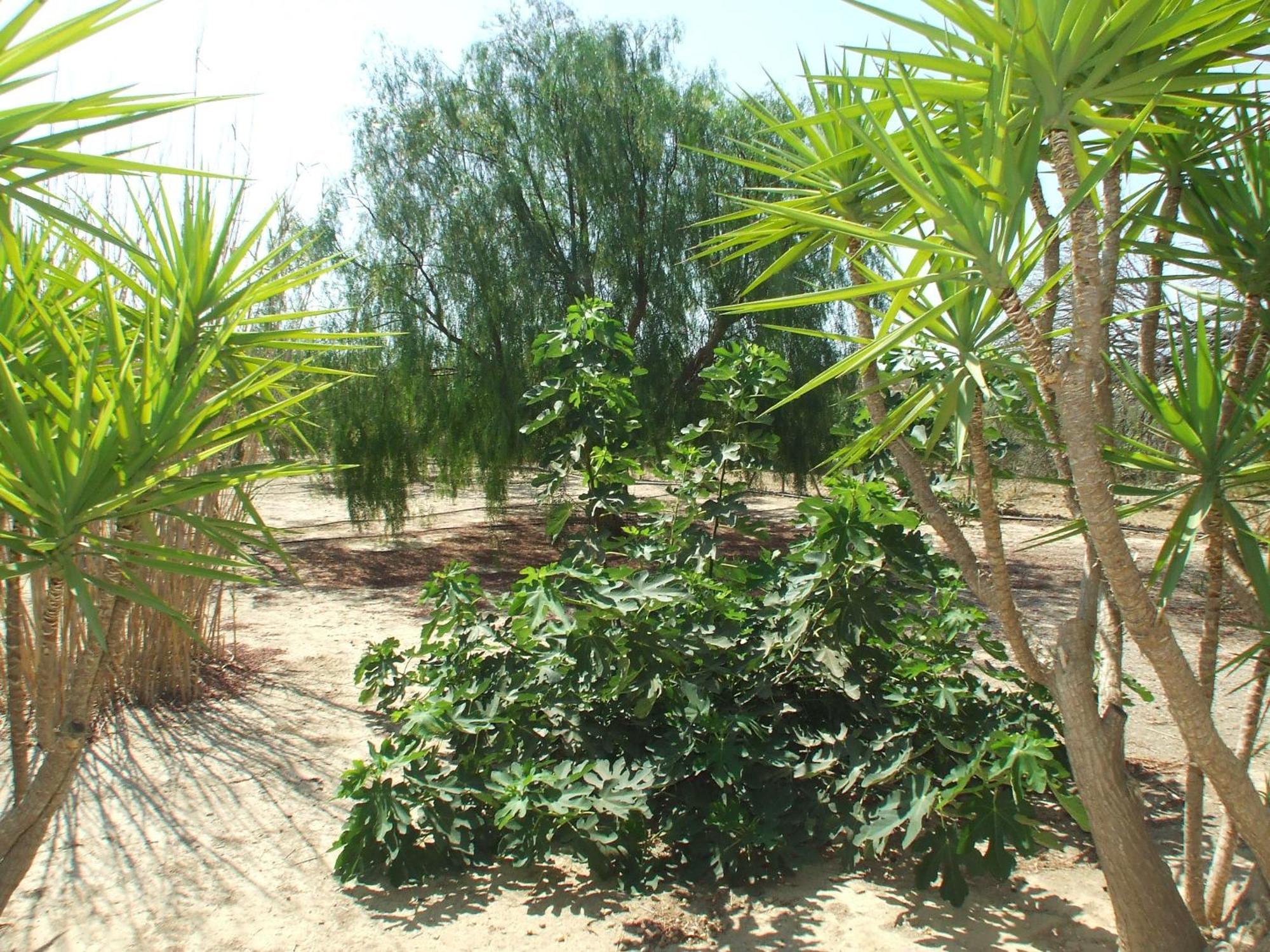 Arboleda Holiday home
